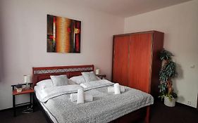 Hotel Palackeho 135
